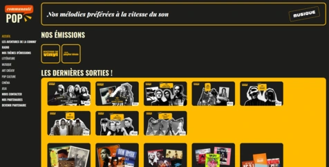 Image 2 du projet Communauté Pop